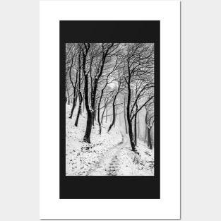 Winter Woods with Snow and Mist Posters and Art